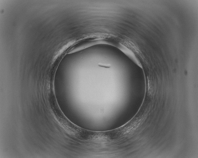 X0000067520348200604101332