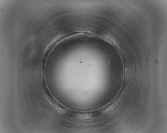 X0000067520349200604101332