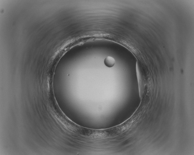 X0000067520350200604101332