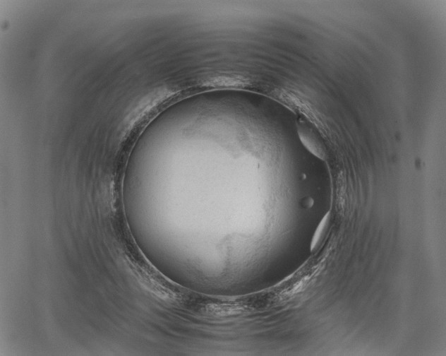 X0000067520351200604101332