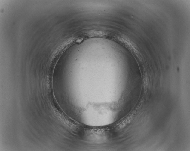 X0000067520353200604101332