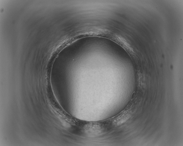 X0000067520354200604101332