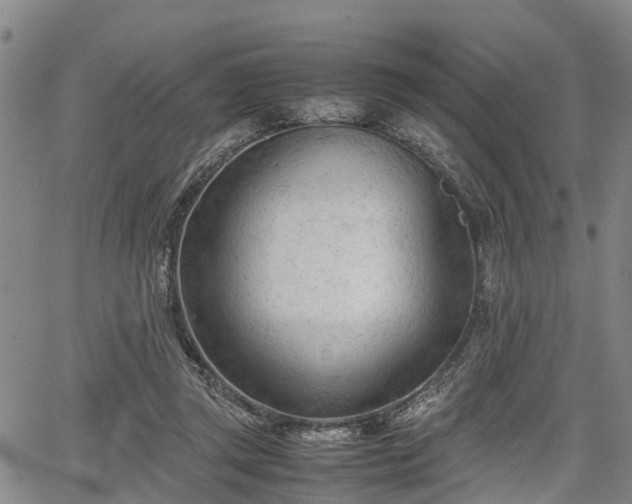 X0000067520357200604101332