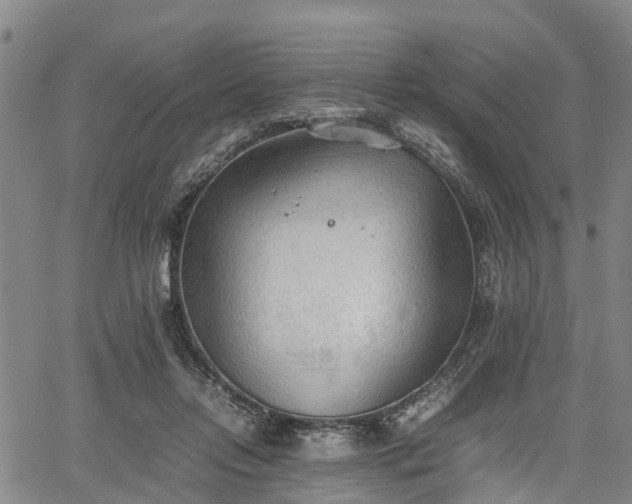 X0000067520358200604101332