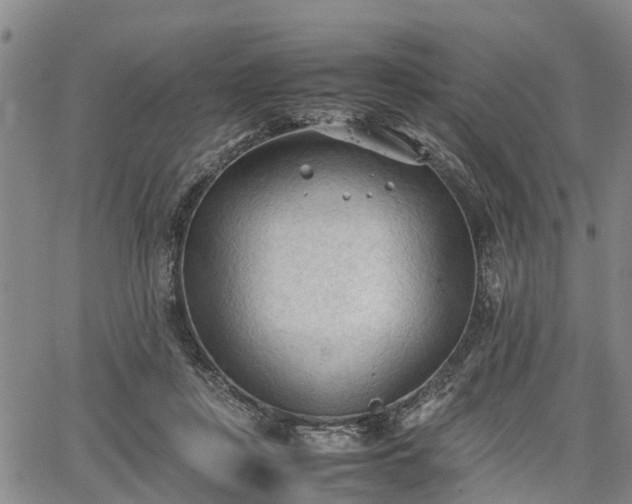 X0000067520359200604101332