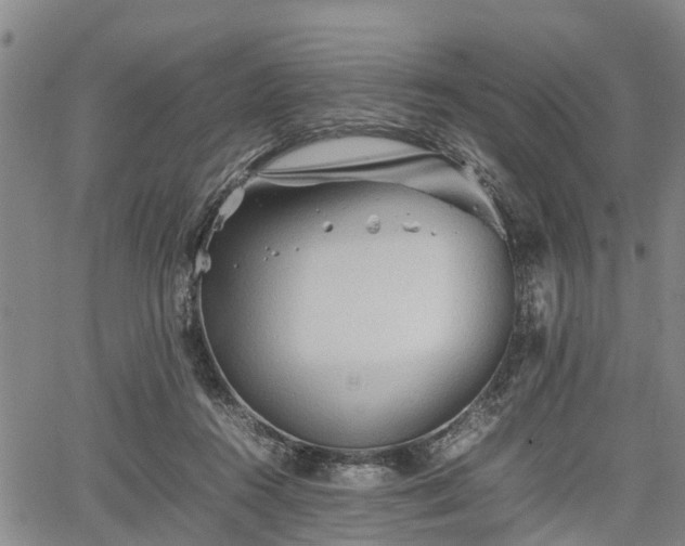 X0000067520360200604101332