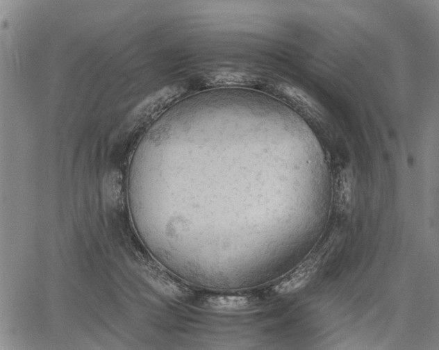 X0000067520361200604101332