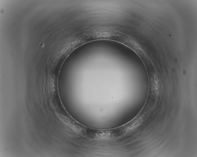 X0000067520362200604101332