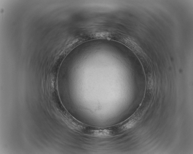 X0000067520363200604101332