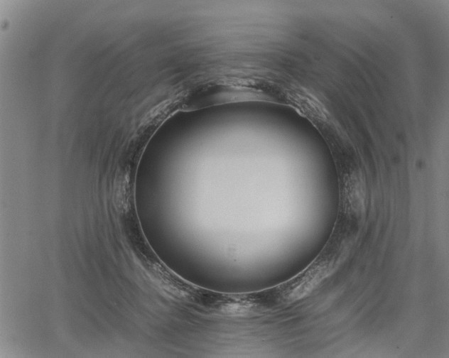 X0000067520364200604101332