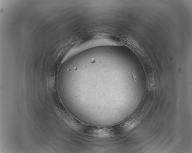 X0000067520365200604101332