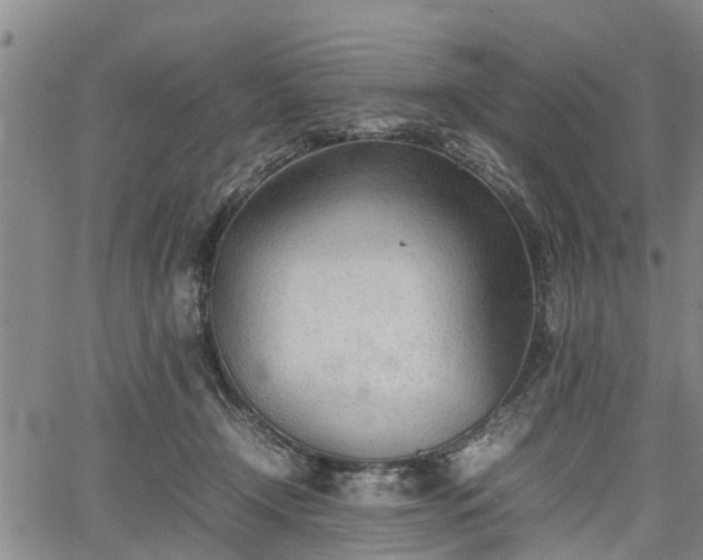 X0000067520366200604101332