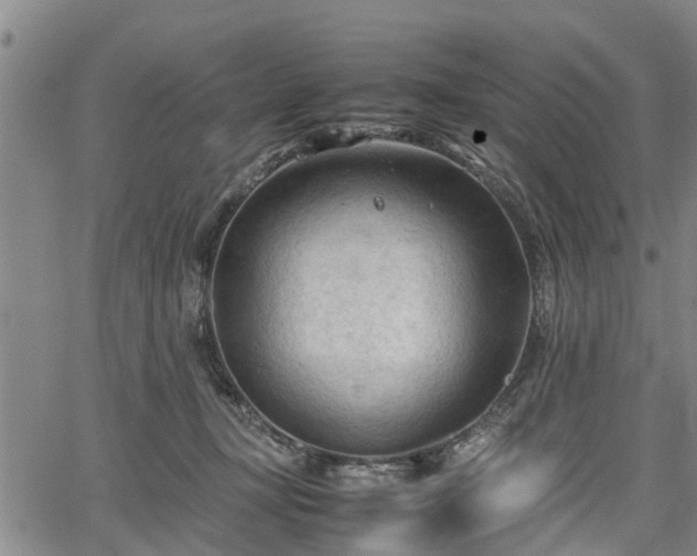 X0000067520367200604101332