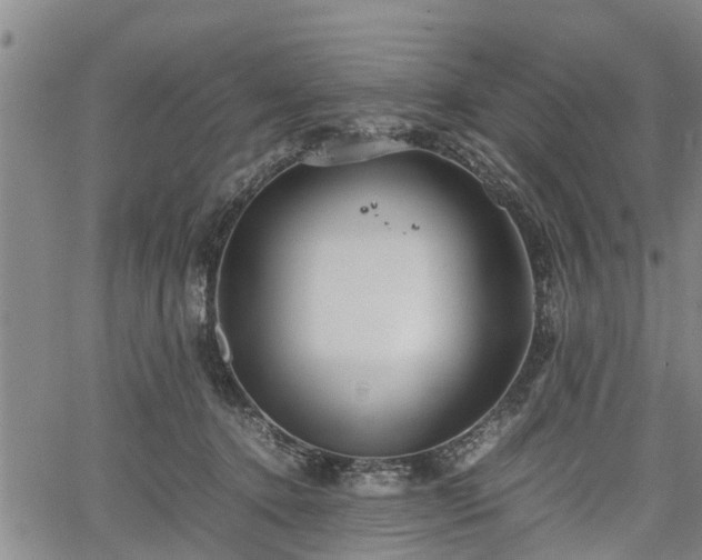 X0000067520368200604101332