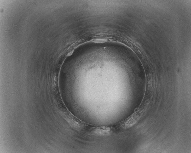 X0000067520369200604101332