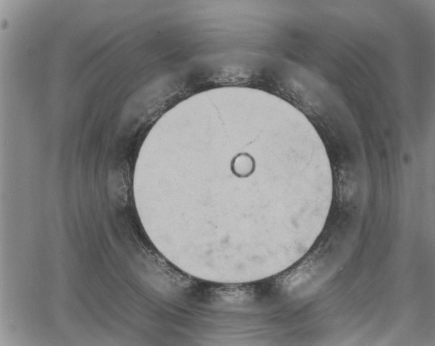 X0000067520370200604101332