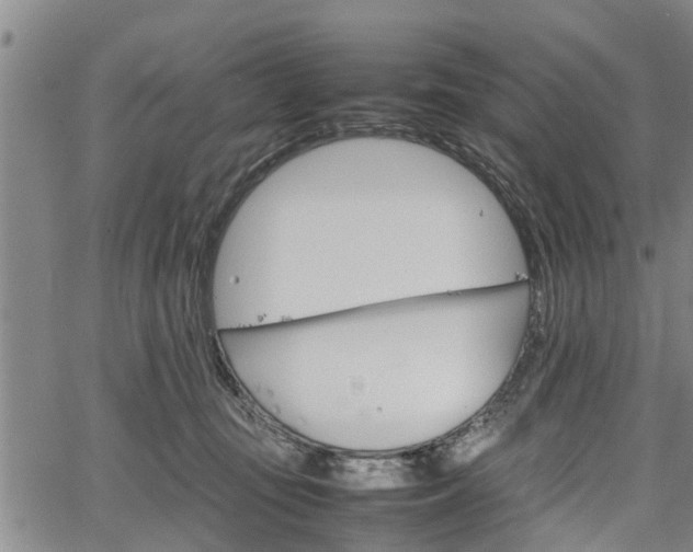 X0000067520371200604101332