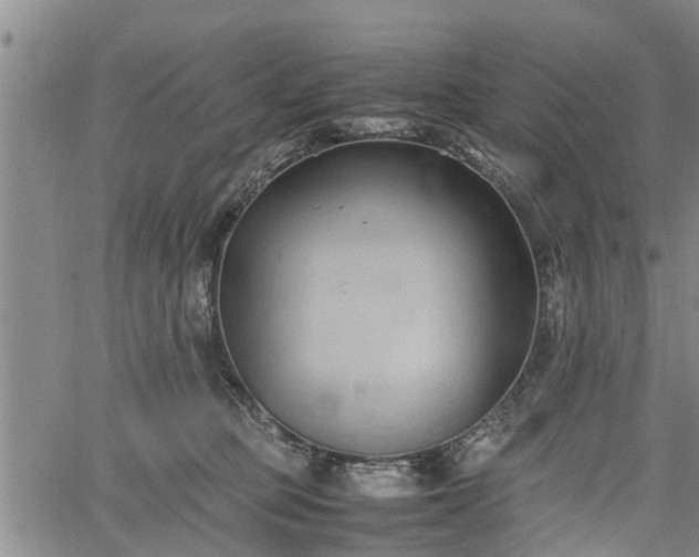 X0000067520373200604101332