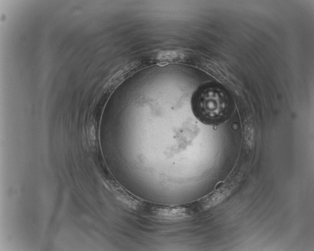 X0000067520375200604101332