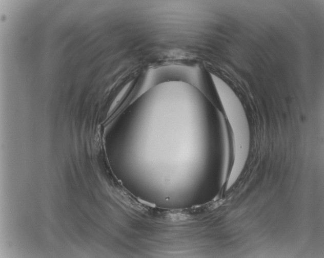 X0000067520376200604101332