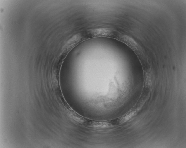 X0000067520377200604101332