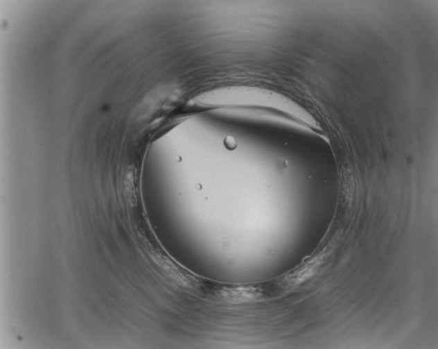 X0000067520378200604101332