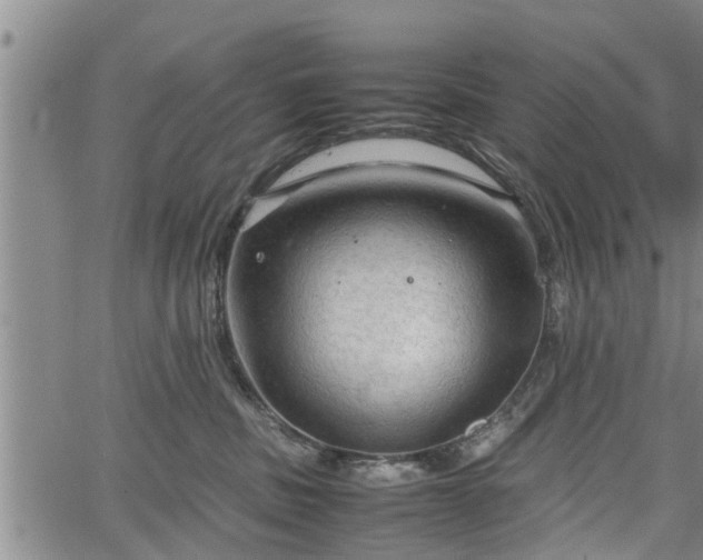 X0000067520379200604101332