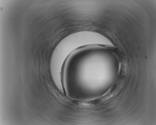 X0000067520380200604101332