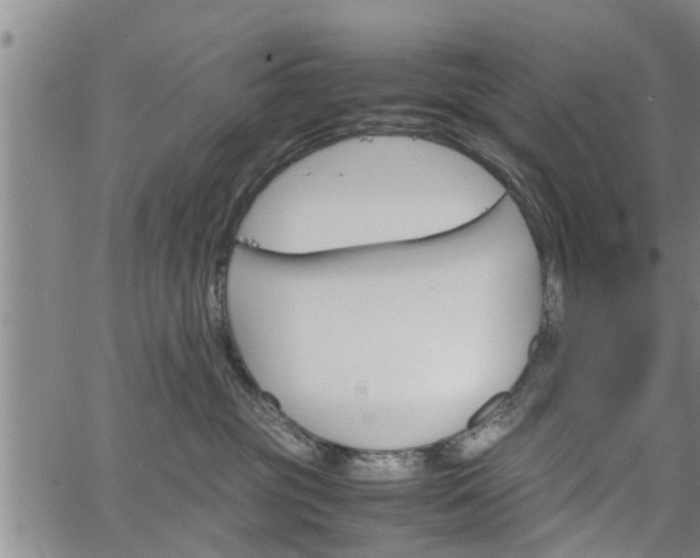 X0000067520381200604101332