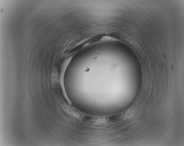 X0000067520384200604101333