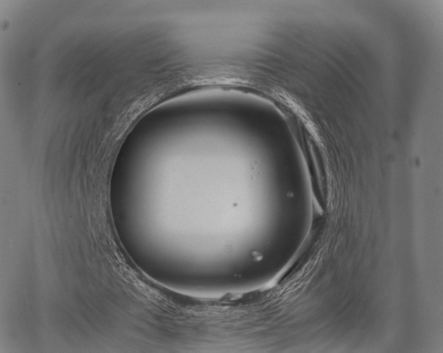 X0000067520385200604101332