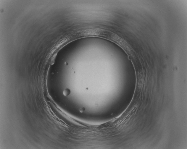 X0000067520386200604101332