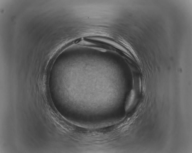 X0000067520387200604101332