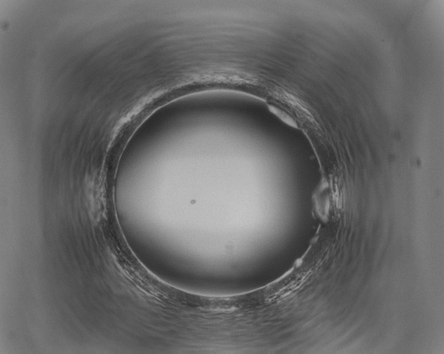 X0000067520388200604101332