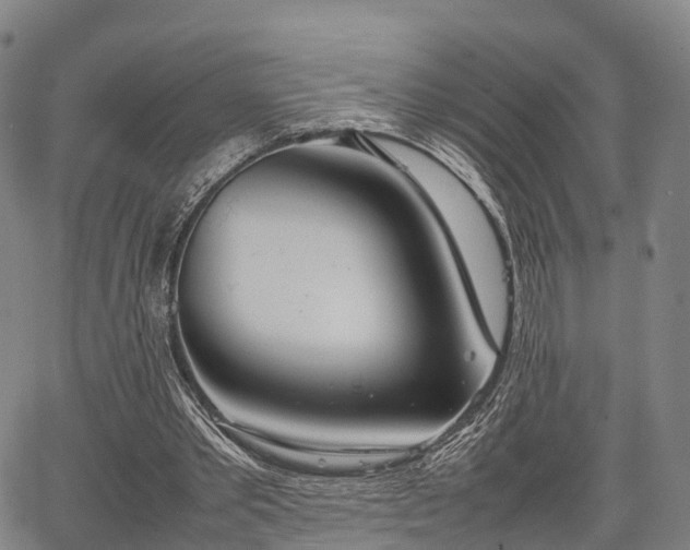 X0000067520389200604101332