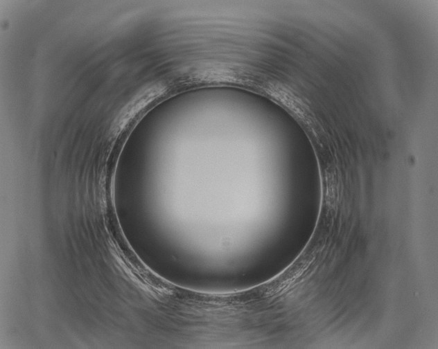 X0000067520390200604101332