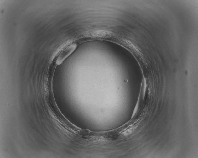 X0000067520392200604101332