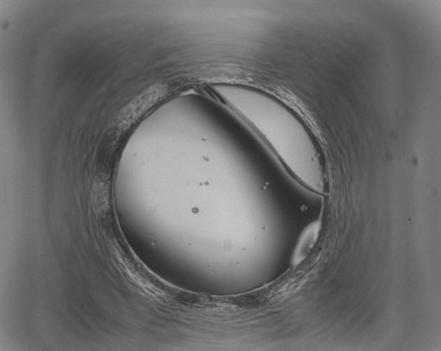 X0000067520393200604101332