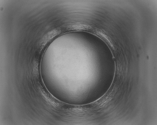 X0000067520394200604101332