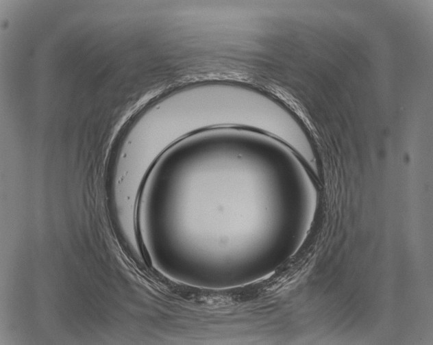 X0000067520395200604101332