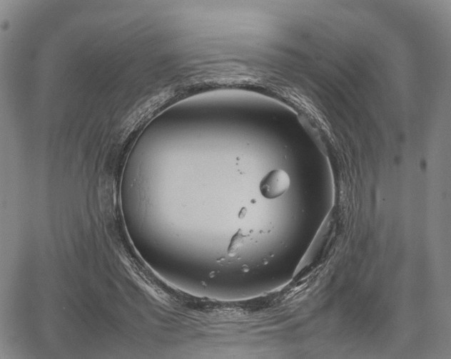 X0000067520397200604101332