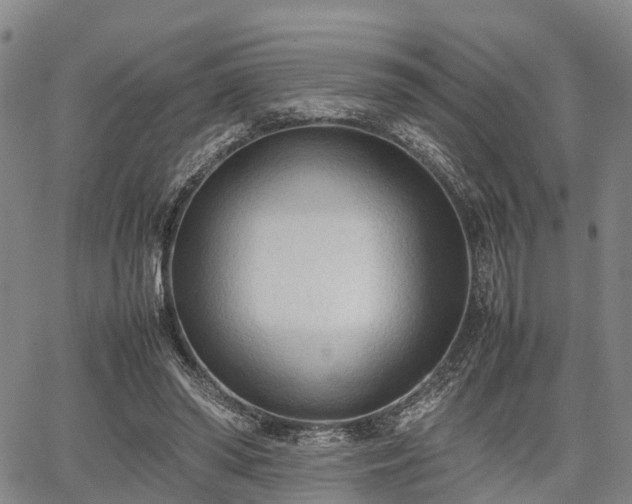 X0000067520398200604101332