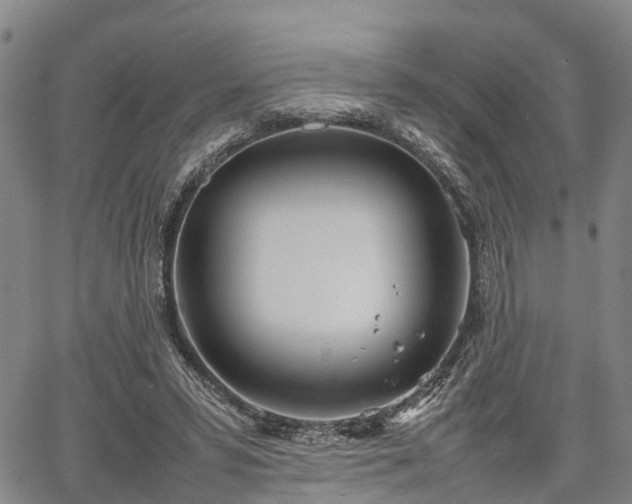 X0000067520399200604101332