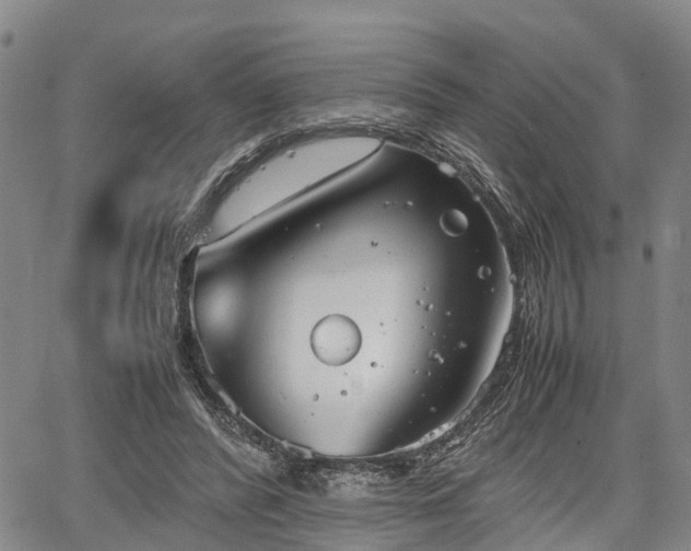 X0000067520400200604101332