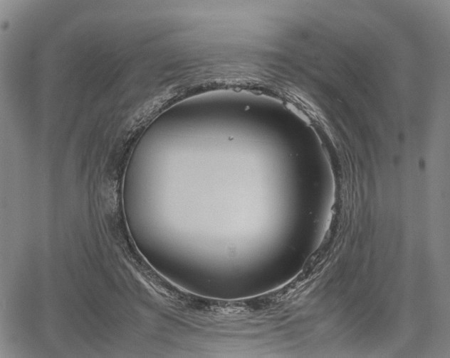 X0000067520401200604101331