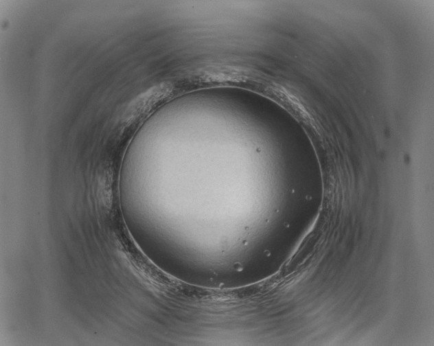 X0000067520402200604101331