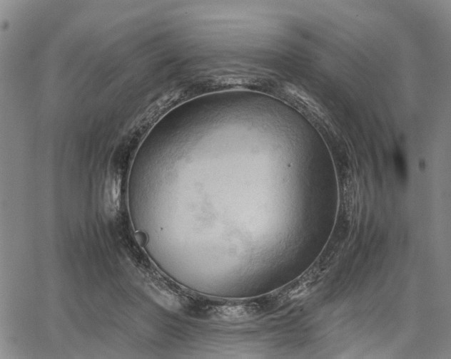 X0000067520406200604101331