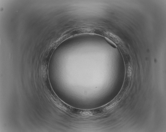 X0000067520409200604101331