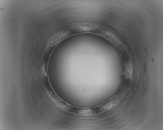 X0000067520410200604101331