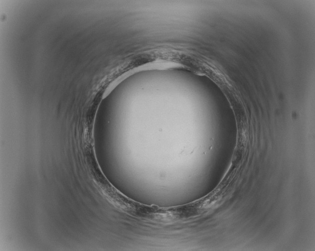 X0000067520411200604101331